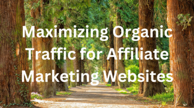 Maximizing Organic Traffic for Affiliate Marketing Websites