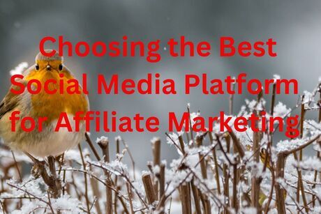 Choosing the Best Social Media Platform for Affiliate Marketing